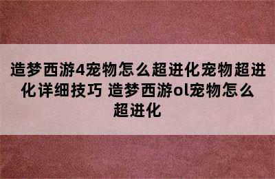 造梦西游4宠物怎么超进化宠物超进化详细技巧 造梦西游ol宠物怎么超进化